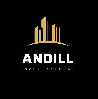 Andillinvestissement
